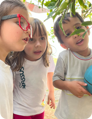 Crianças observando uma planta no parque da escola