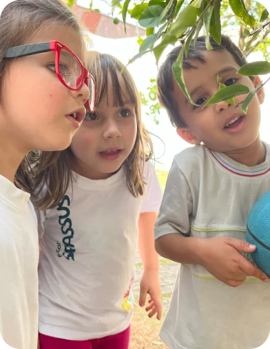 Crianças observando uma planta no parque da escola, Escola Infantil em Santo André